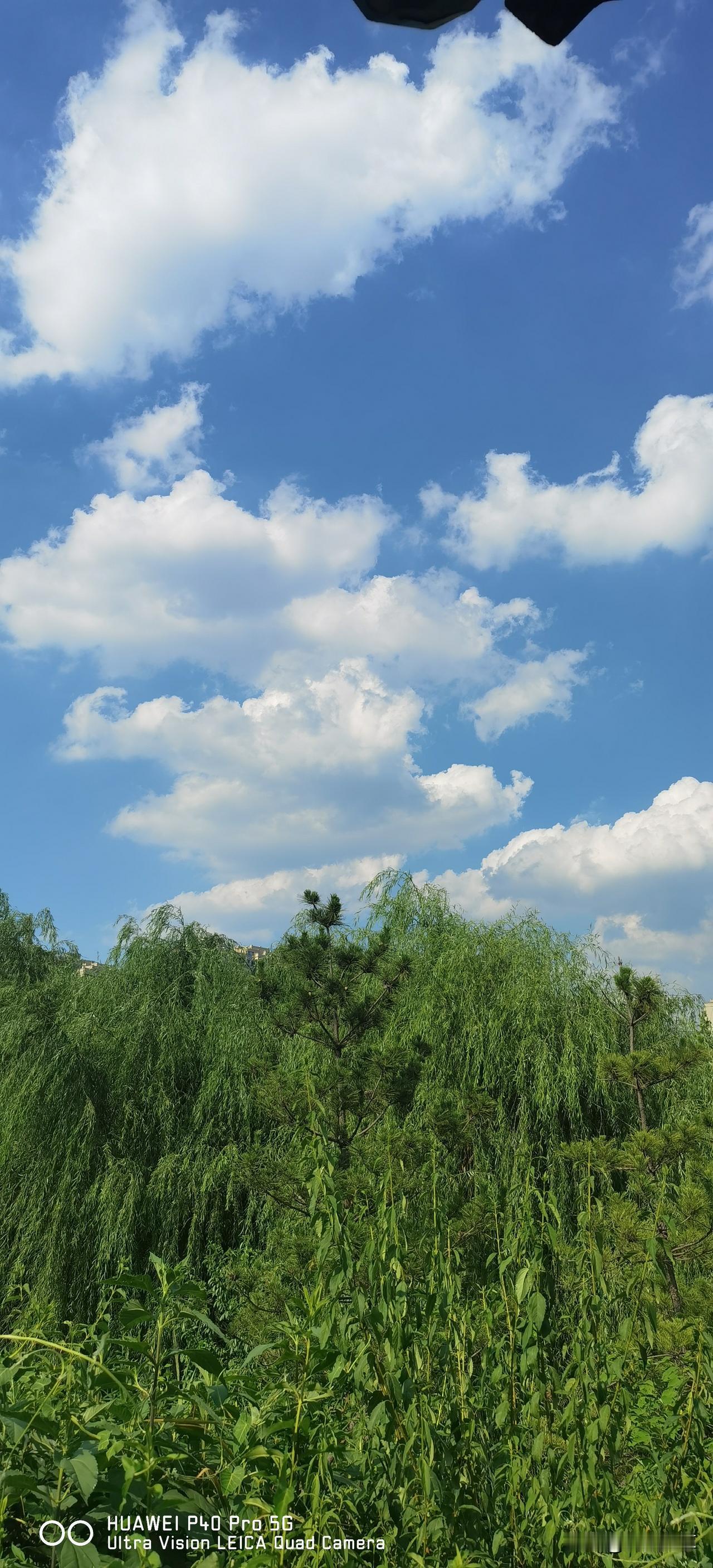 唐山工业职业技术大学面向社会公开选聘事业编工作人员21名！

选聘对象为硕士研究