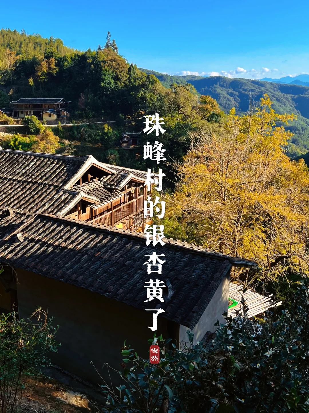 福州随拍｜永泰珠峰古村的银杏黄了