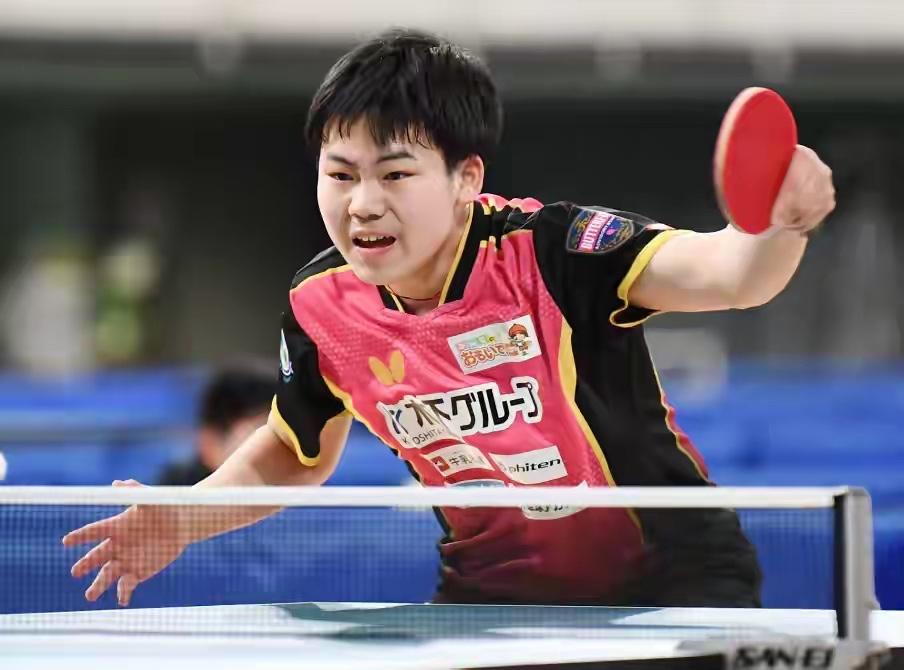 国乒“养狼计划”？松岛辉空承认：在这练一年，顶在日本打10年

近些年日乒发展迅