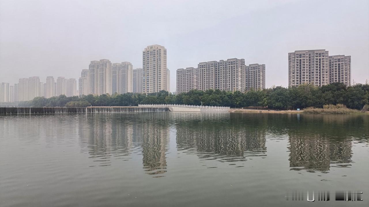 中秋前夕贾鲁河畔，酸奶，毛尖，苹果，月饼，躺平。