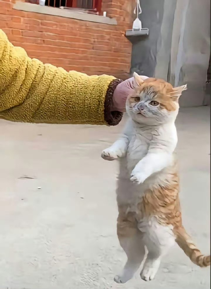 【脏脏包】虽然脏脏的，但依然很可爱🥹 ​ ​​​
