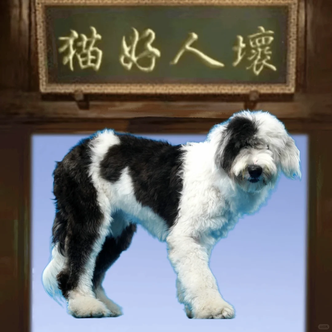 做一头真正的大狗