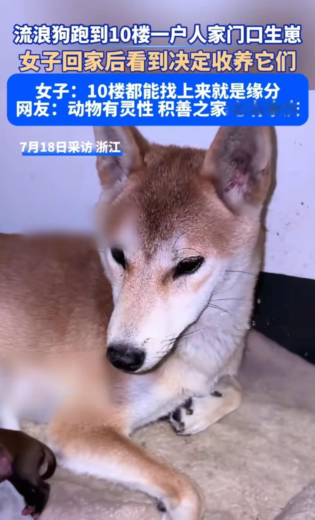 真的破防了！浙江一居民小区，女子下班回家，刚走进楼道就闻到一股浓烈的血腥味，昏暗