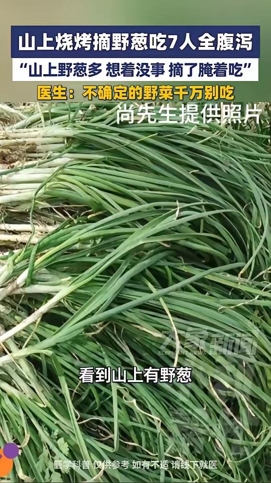 “山上的野葱，吃完第二天全进医院了。”

3月22日，河南驻马店的尚先生和朋友去