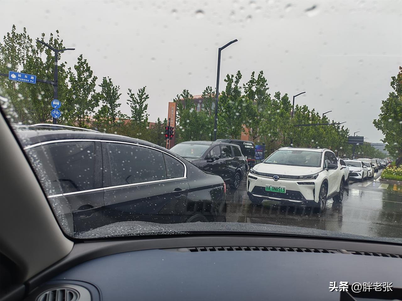 堵车是有原因的，某些司机脑袋就跟让驴踢了一样！

前面红绿灯排大队了，某些司机只