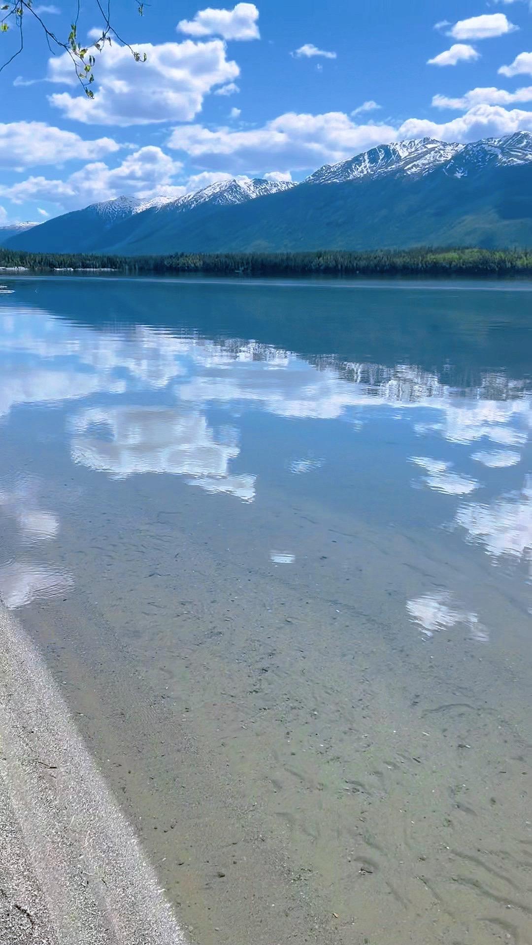 不要让蠢货毁了自己的人生 普通人稍有不慎，就可能万劫不复  跟错误的人...