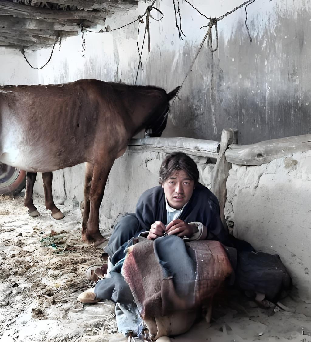 在旧西藏那片被封建农奴制阴霾笼罩的土地上，东噶宗拉鲁溪卡（庄园）宛如一座冰冷的牢