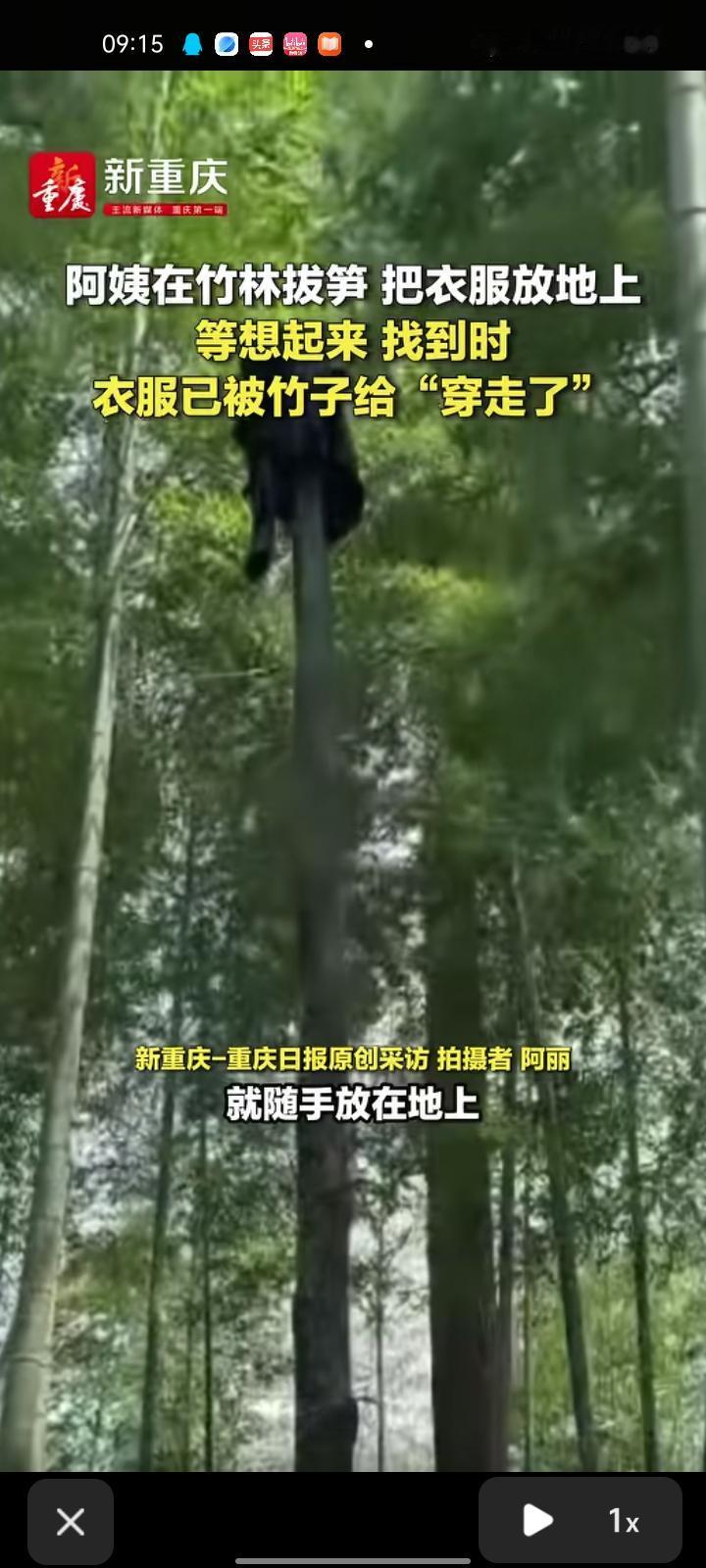 4月12日，福建三明。女子发视频称，母亲上山挖笋时觉得热，就随手把衣外套放在地上