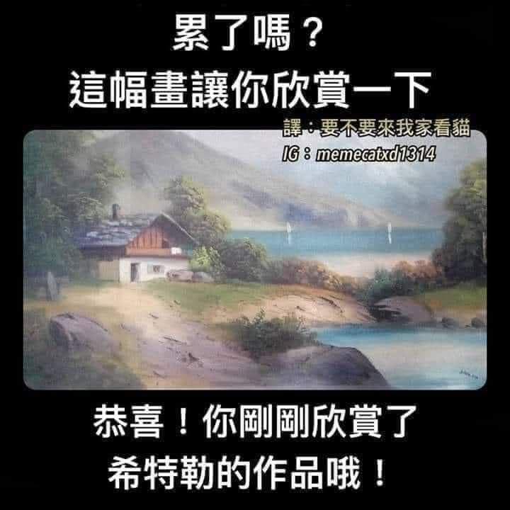 不错#meme# ​​​