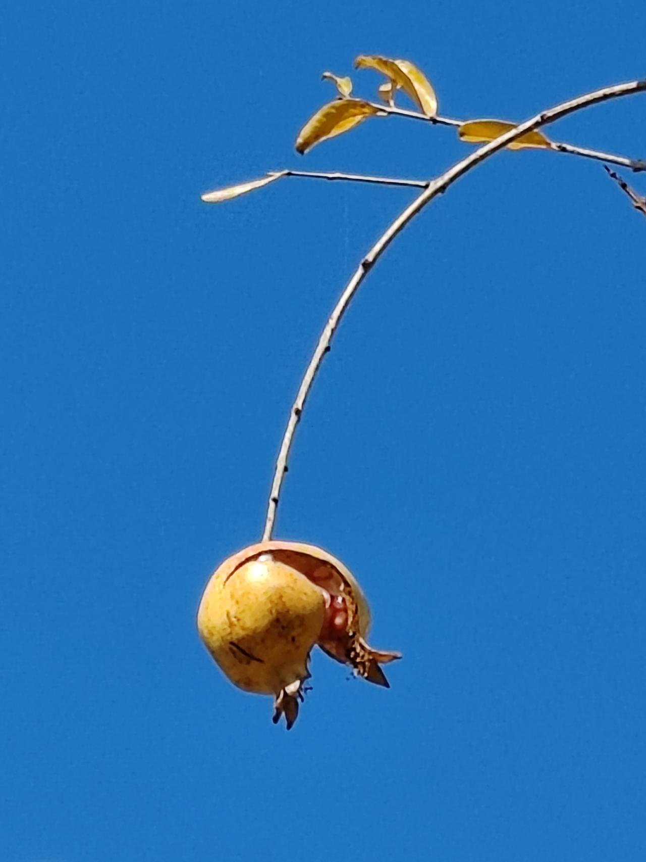 家庭条件优越，无疑能为孩子营造更优渥的生活、成长与学习环境，为孩子成家立业、发展