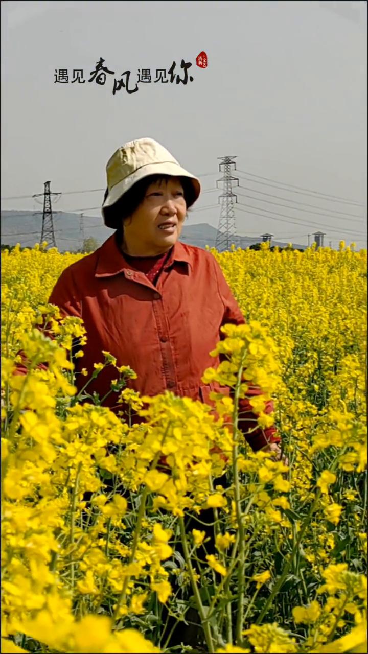 遇见春风遇见你。
春风遇见你，春风遇见你，春风遇见你。