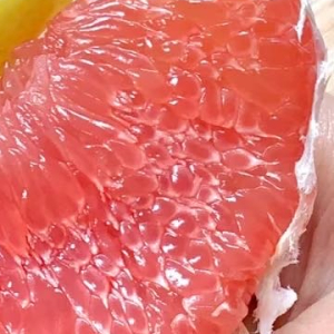 2200柚子的种植方法一、选地与整地1. 土壤选择：一般选择土层深厚、排水良好、