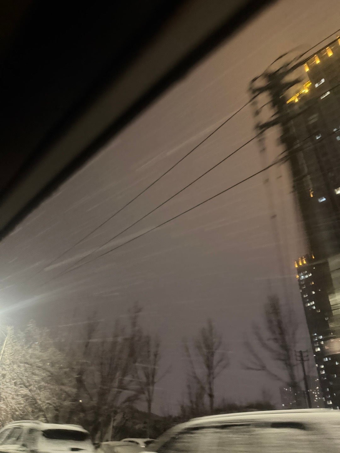 郑州天气也是蛮奇怪的 这立春都过了 又开始下大雪了