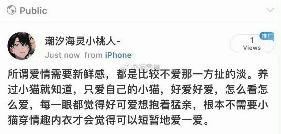 “养过小猫就知道 爱不需要新鲜感 ” 