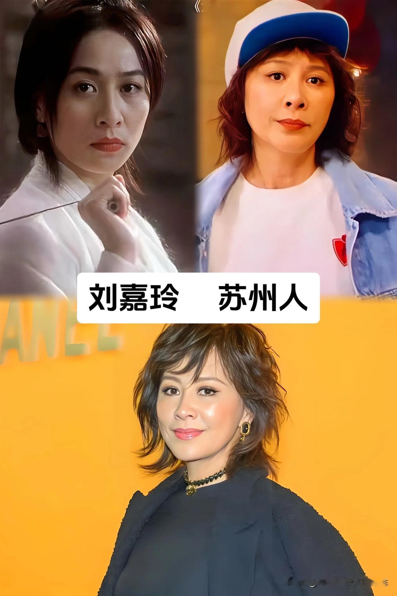 很多人不知道，一众荧幕上熟悉的实力派演员祖籍各不相同，刘嘉玲苏州人，凭借《无间道