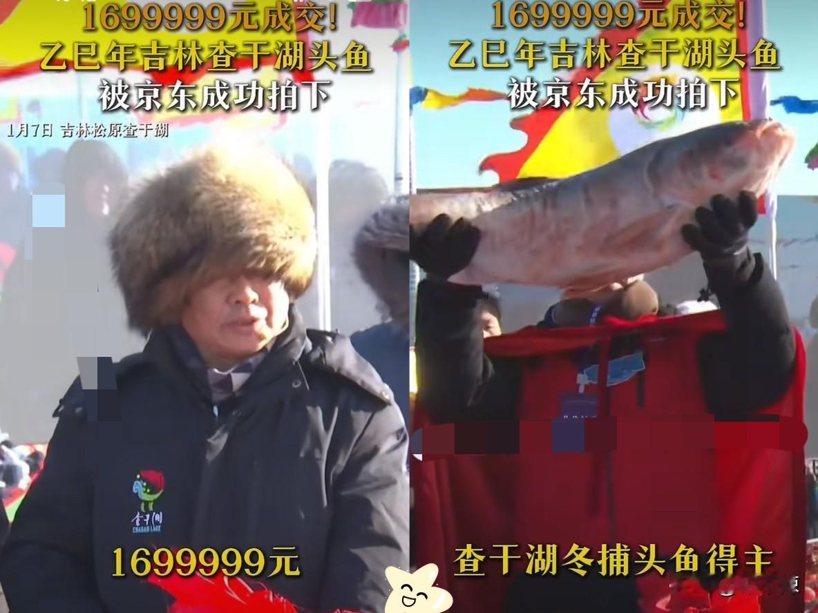 “开眼界了！”吉林查干湖头鱼拍卖，一条38斤花鲢，竟然拍出了1699999元的天