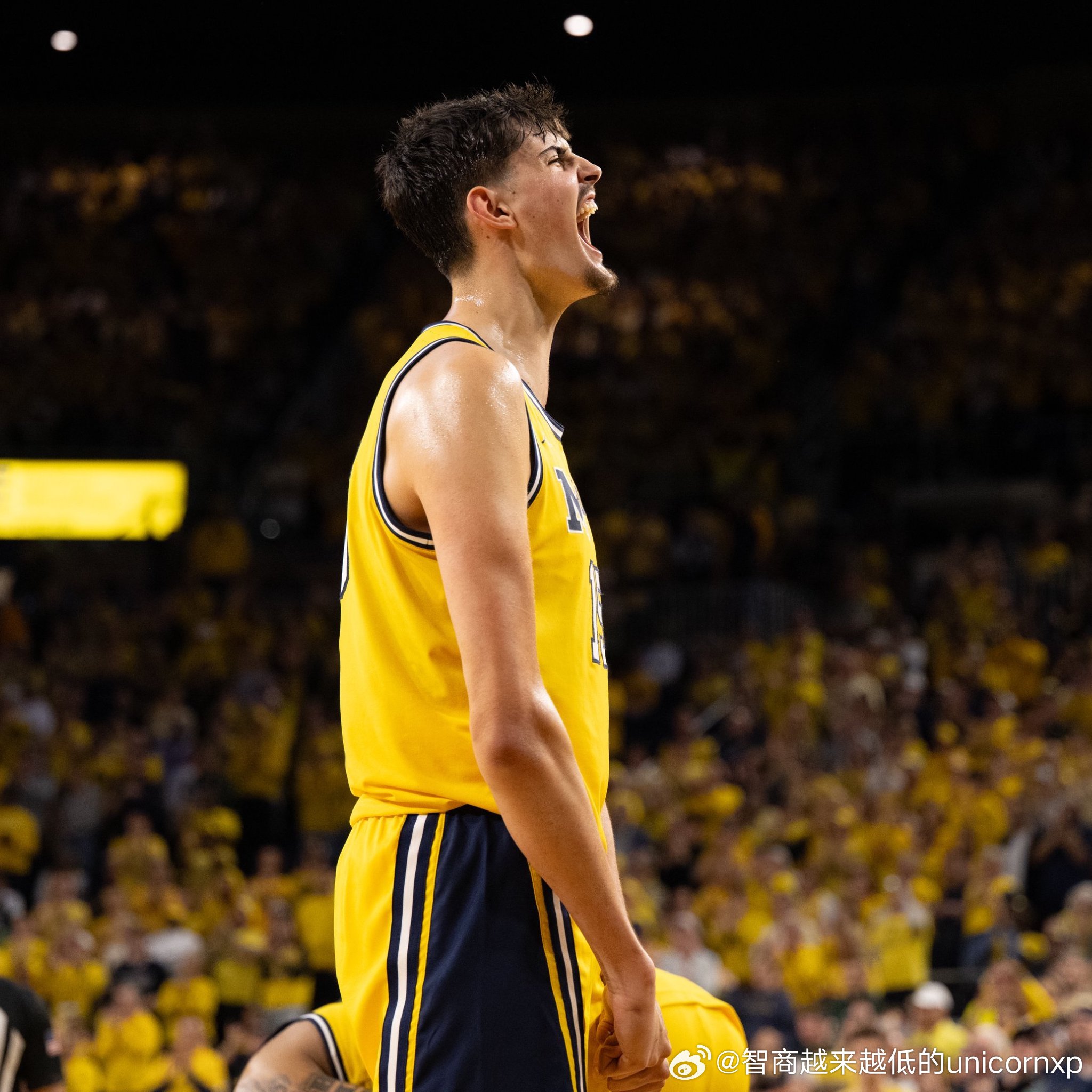 西班牙中锋Aday Mara在密西根大学的专业是西班牙语NCAANBA