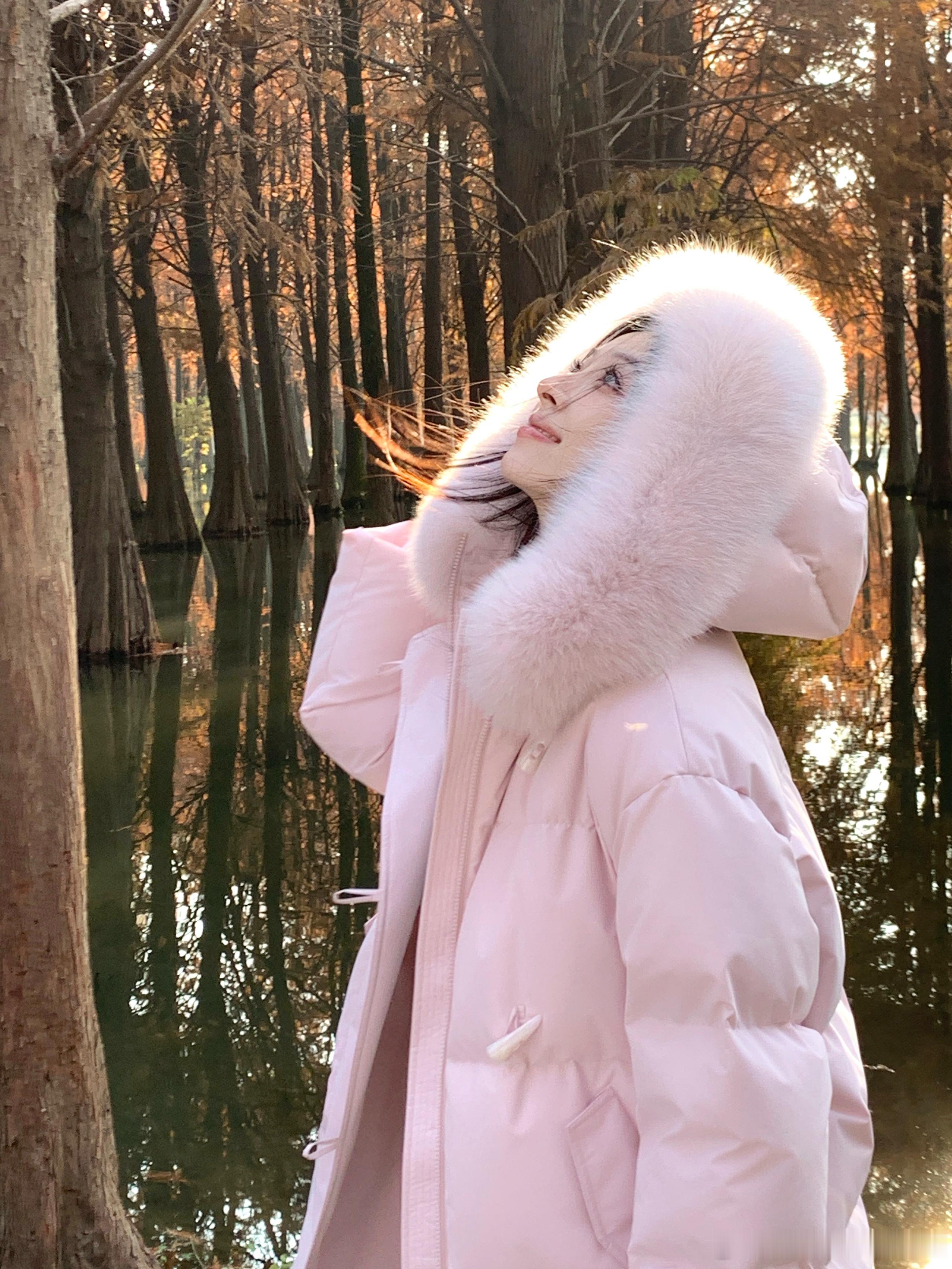 冬天夕阳下的水杉林像闯入人间仙境！回去的时候邂逅了粉色晚霞评论抽3位小仙女平分3