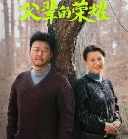 十几年前一部《父母的爱情》横空出世，从故事、情节、场景、人物及表演，都堪称完美。