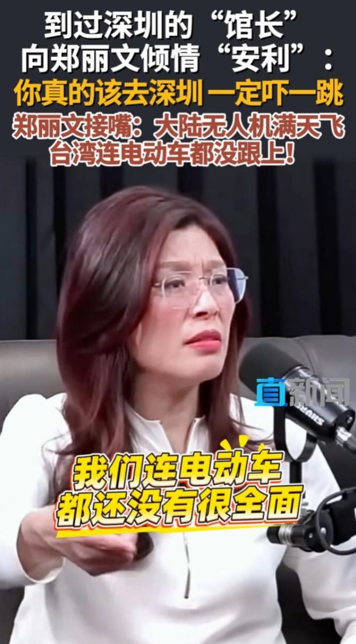 中国国民党主席郑丽文在2026年4月结束大陆访问返台后，公开坦言，与大陆相比，台