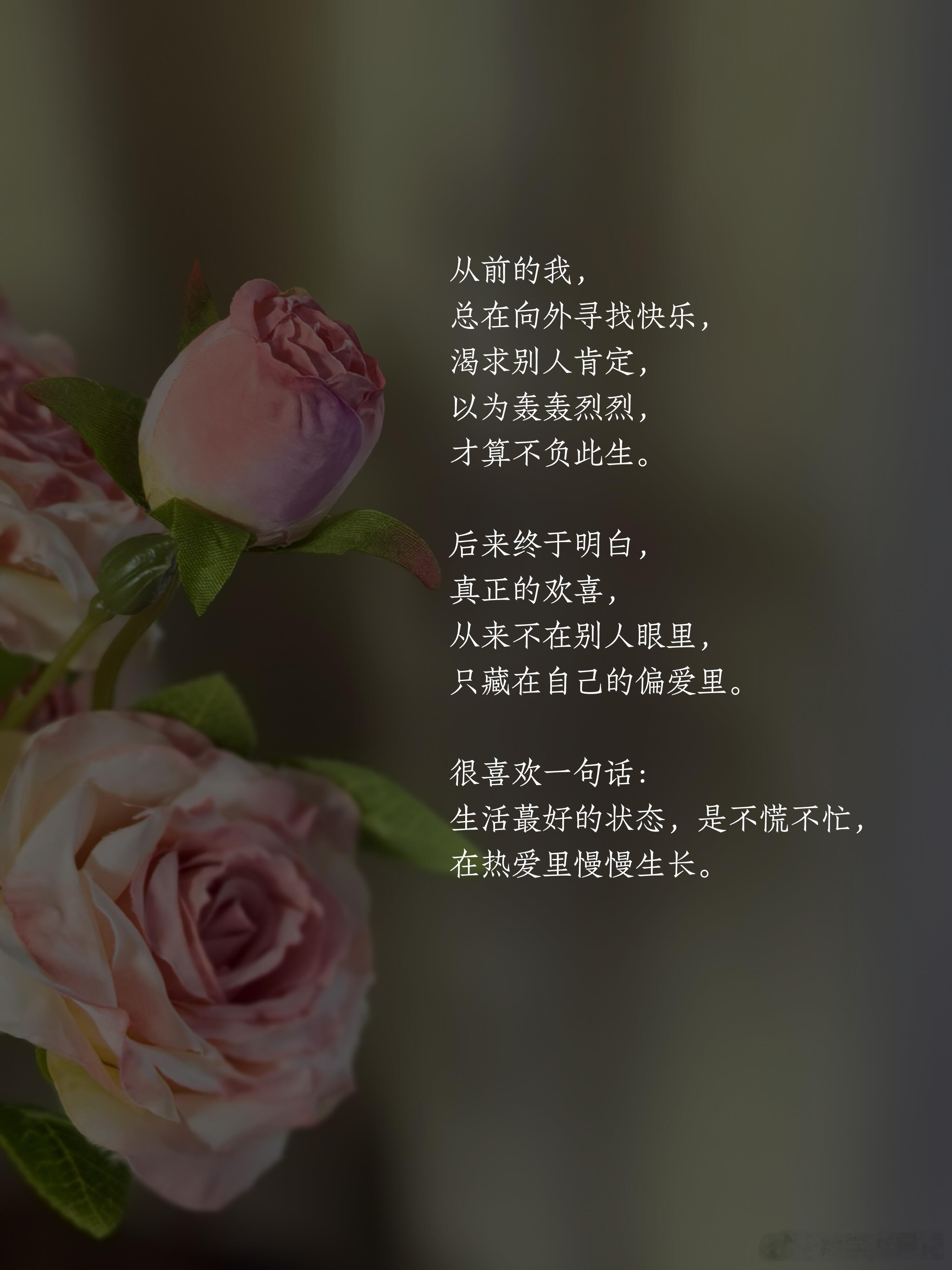 普通人的日子，本就是平淡细碎的，但我们可以凭着热爱，把普通的日子，过得温柔且治愈