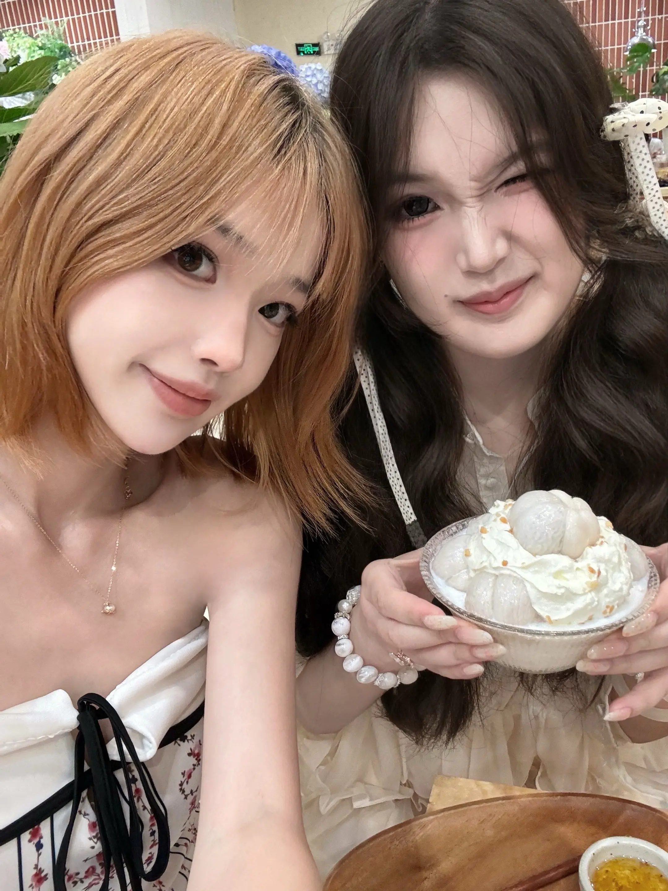 萌物会面这样子