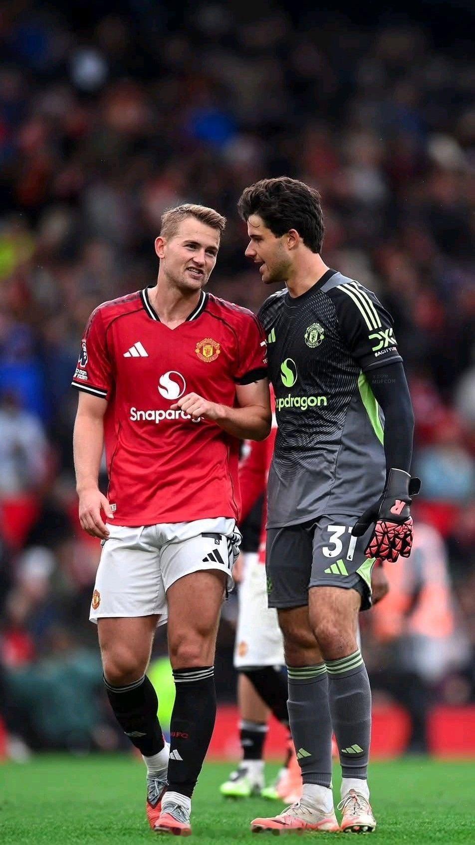 两天不见，早！ 