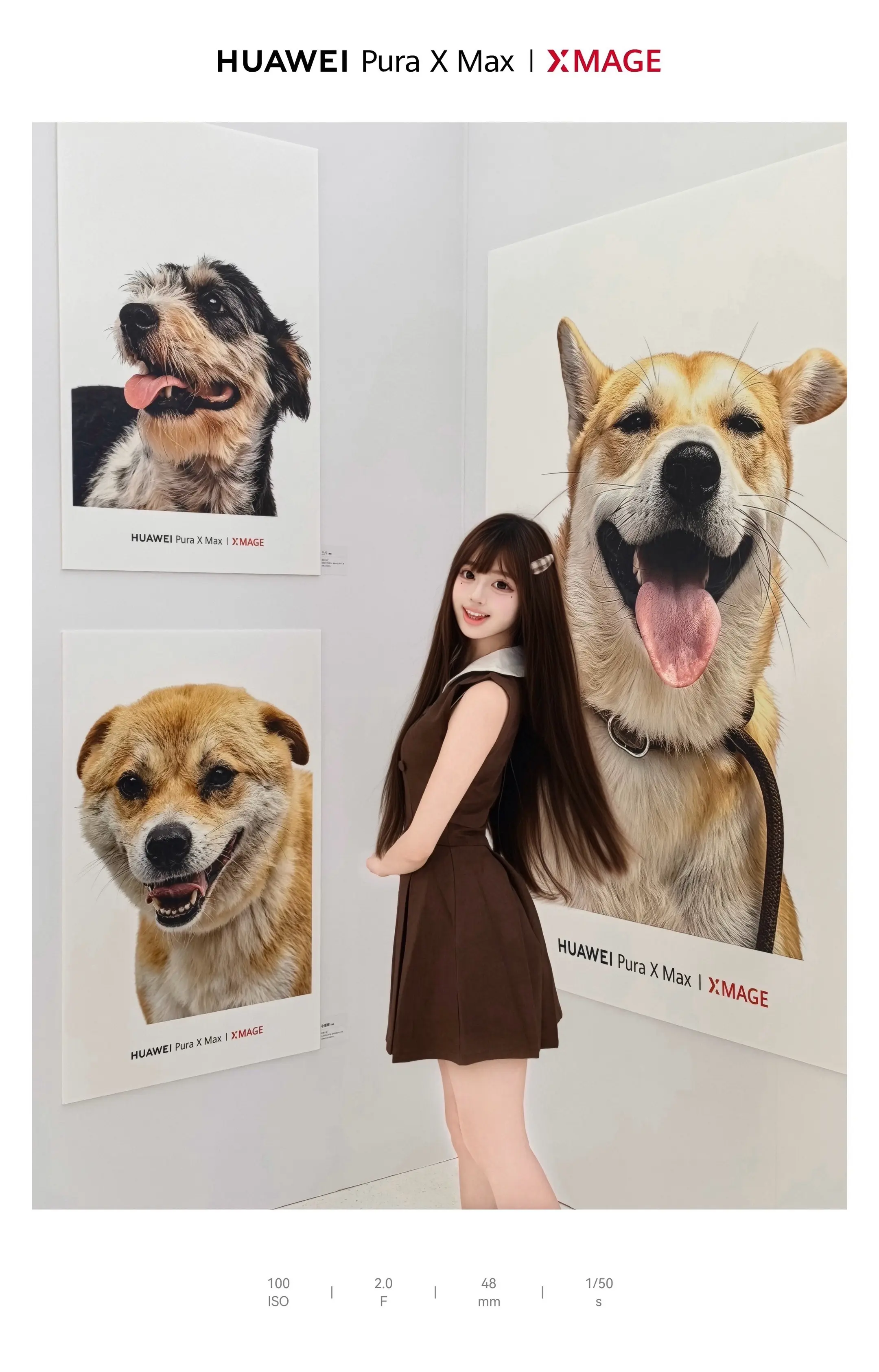 在长沙被狠狠戳到🐕 100只流浪狗狗影像展 用照片帮毛孩子找家
