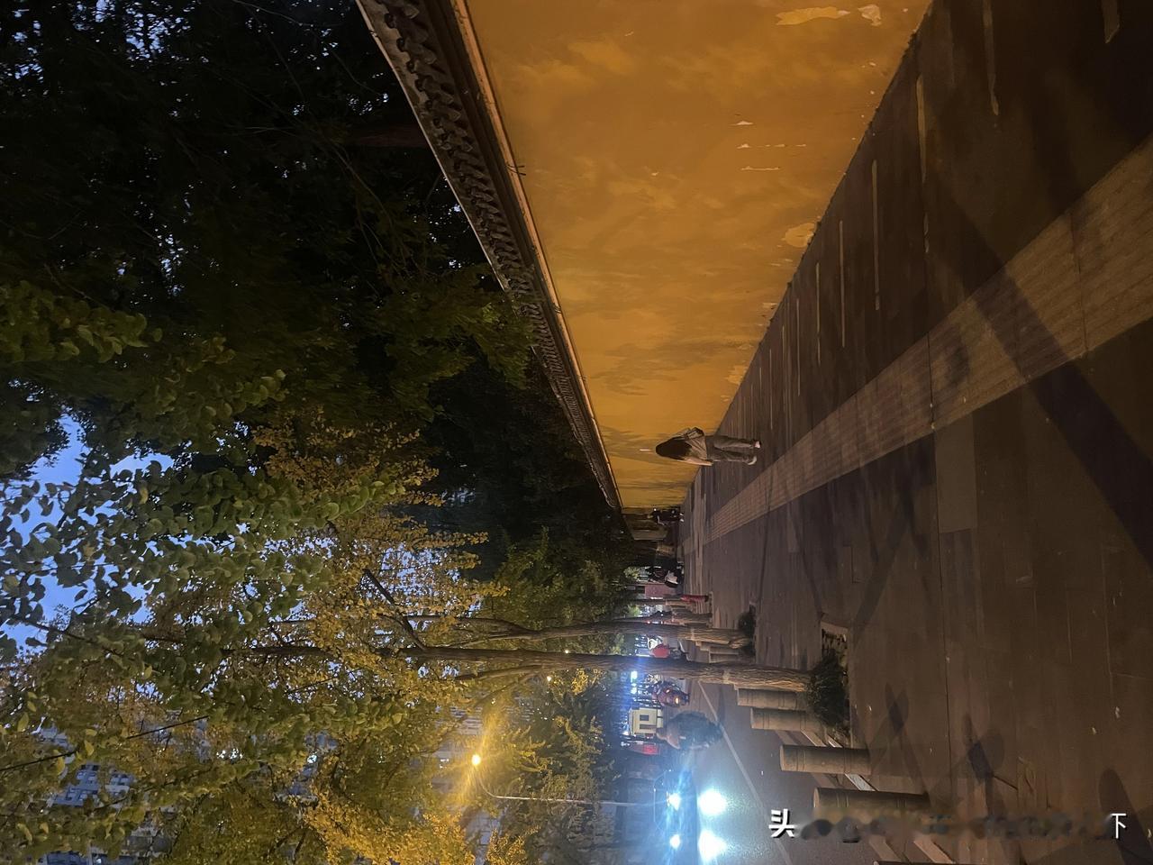 分享一张最近随手拍的照片深秋的夜，外面的喧嚣与我无关，心理的沉淀才是归宿。