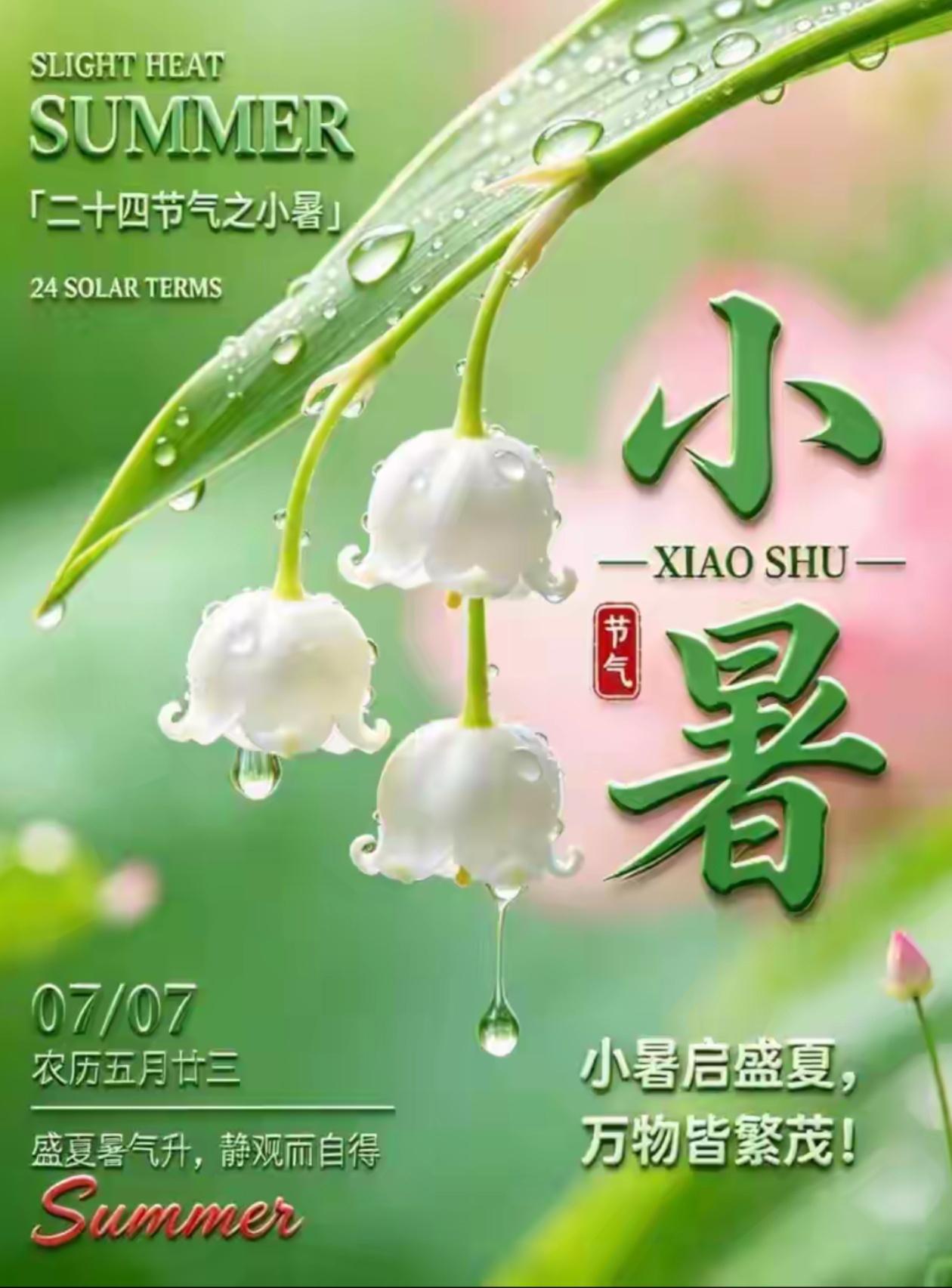 🌺2026年7月7日，静赏夏光，清欢相伴🌺
 
🌿🌸一蝉呜夏，一风送凉，