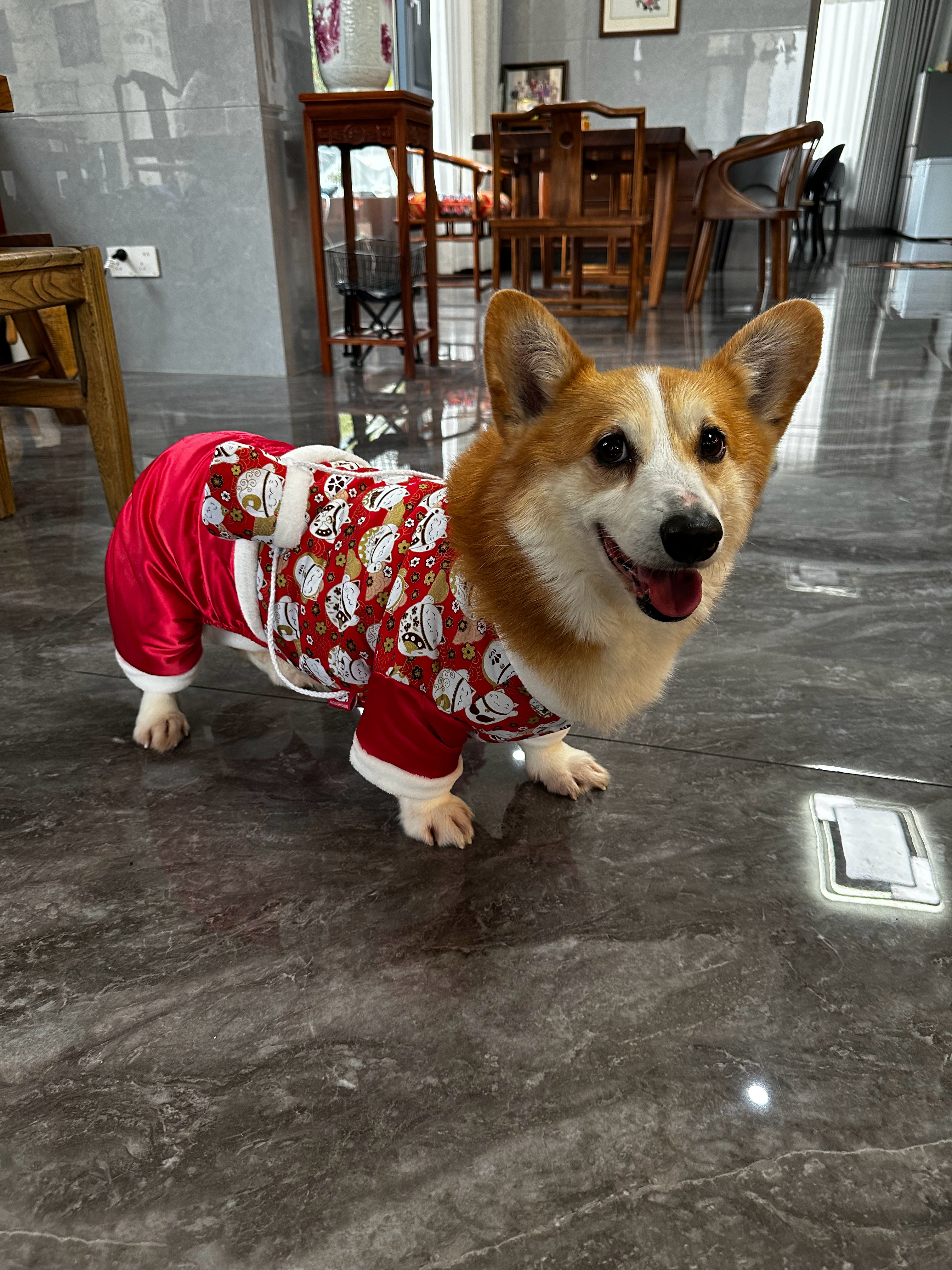 又熬过一年新年快乐哦。可乐与粥的日常