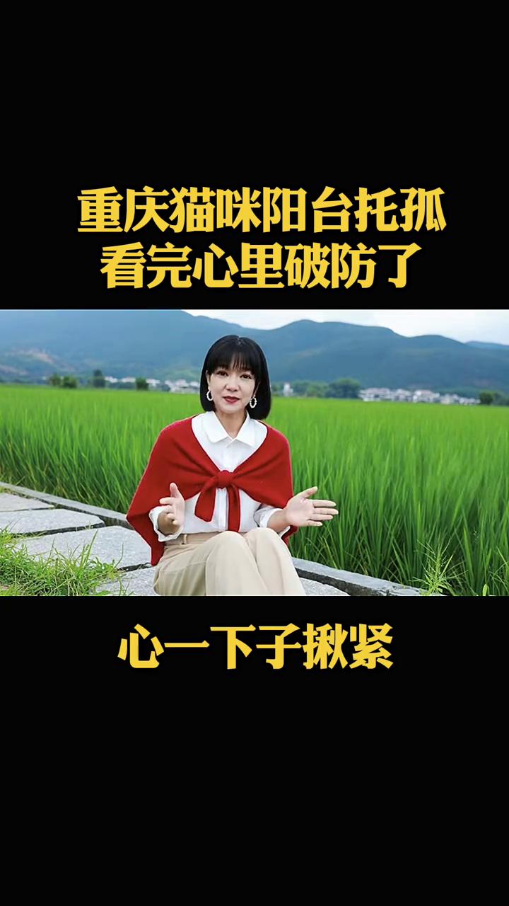 重庆发生一件事，看完让人后背发凉。
一户人家出门几天，家里猫粮没留够，家里的猫妈