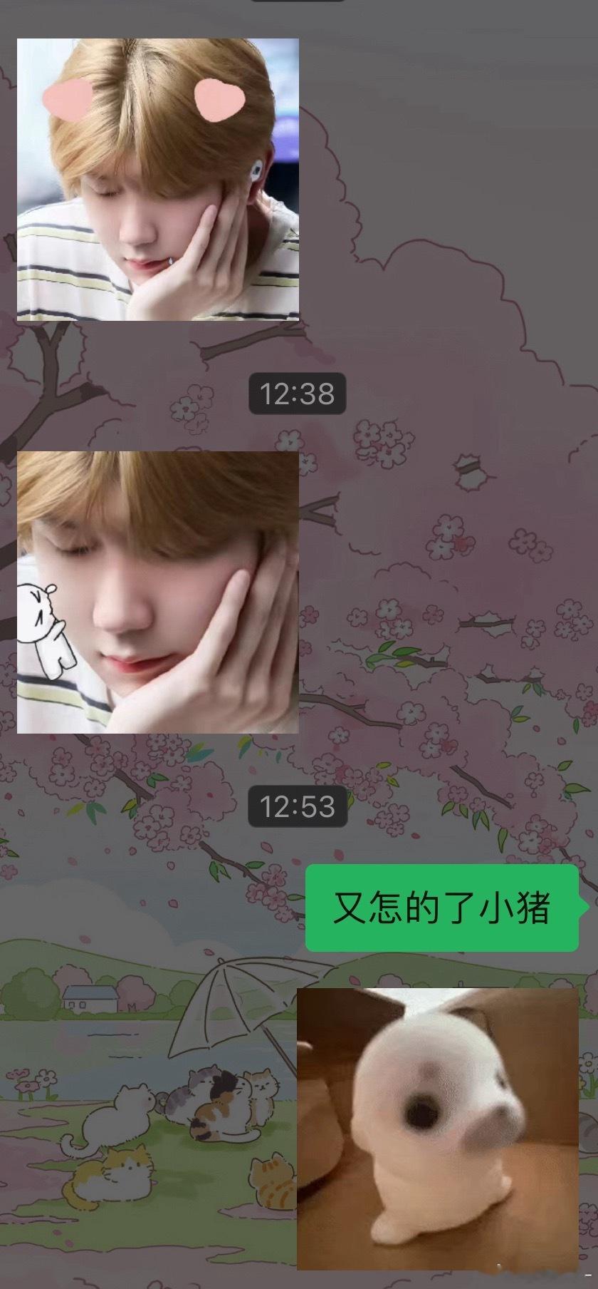 好好用的一张表情包……