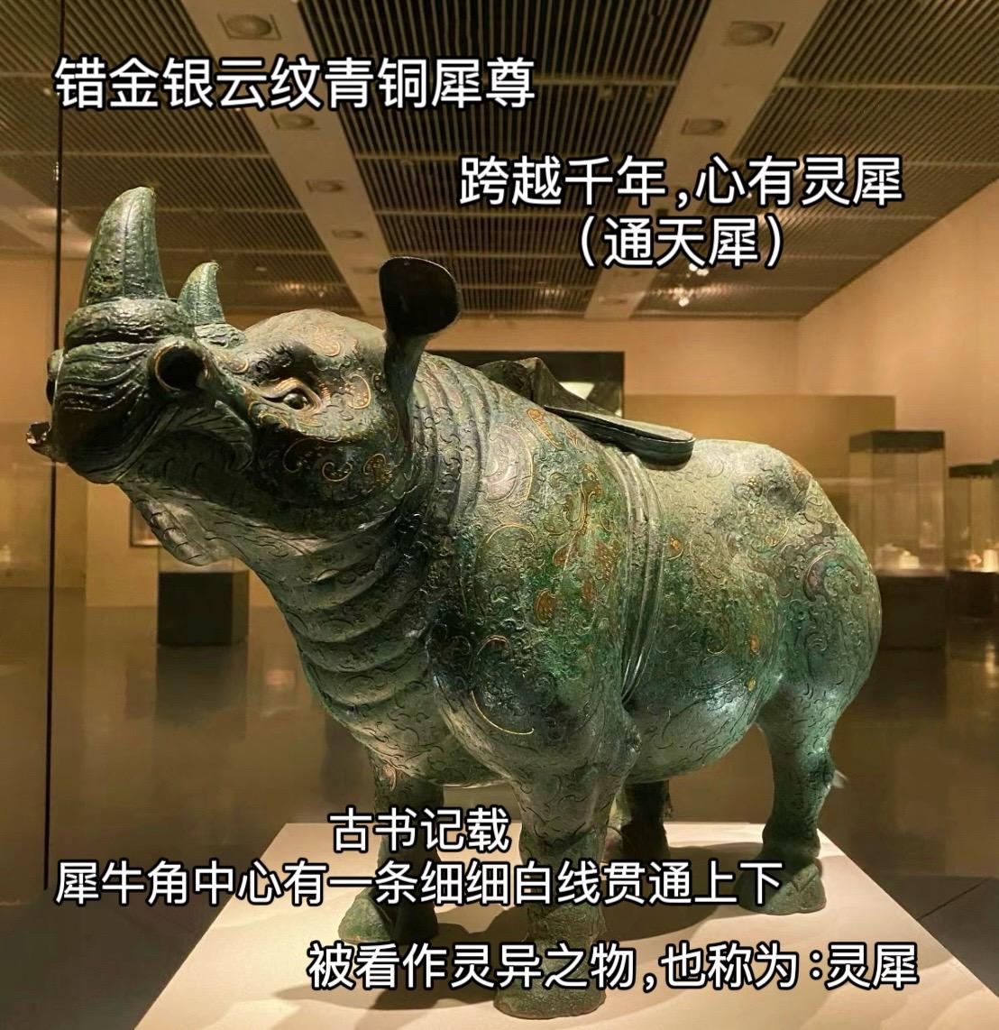 前师有狄仁杰之通天帝国，后徒现苏无名之通天犀牛