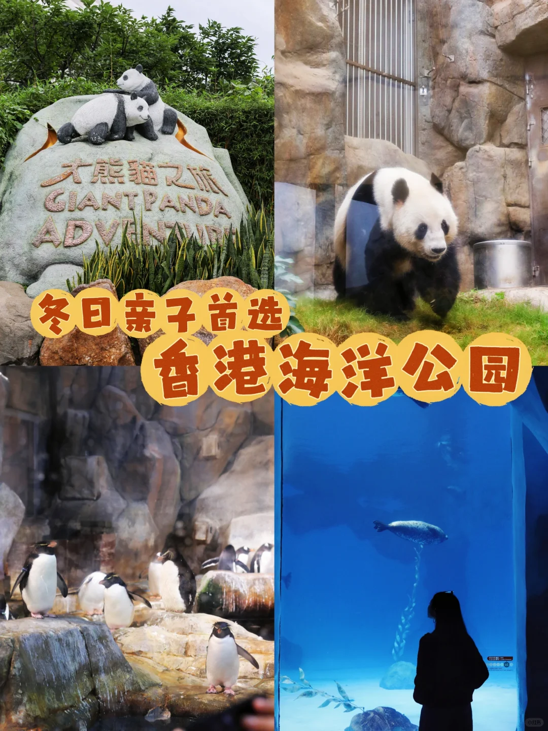 冬日亲子游首选🌞香港海洋公园全攻略
