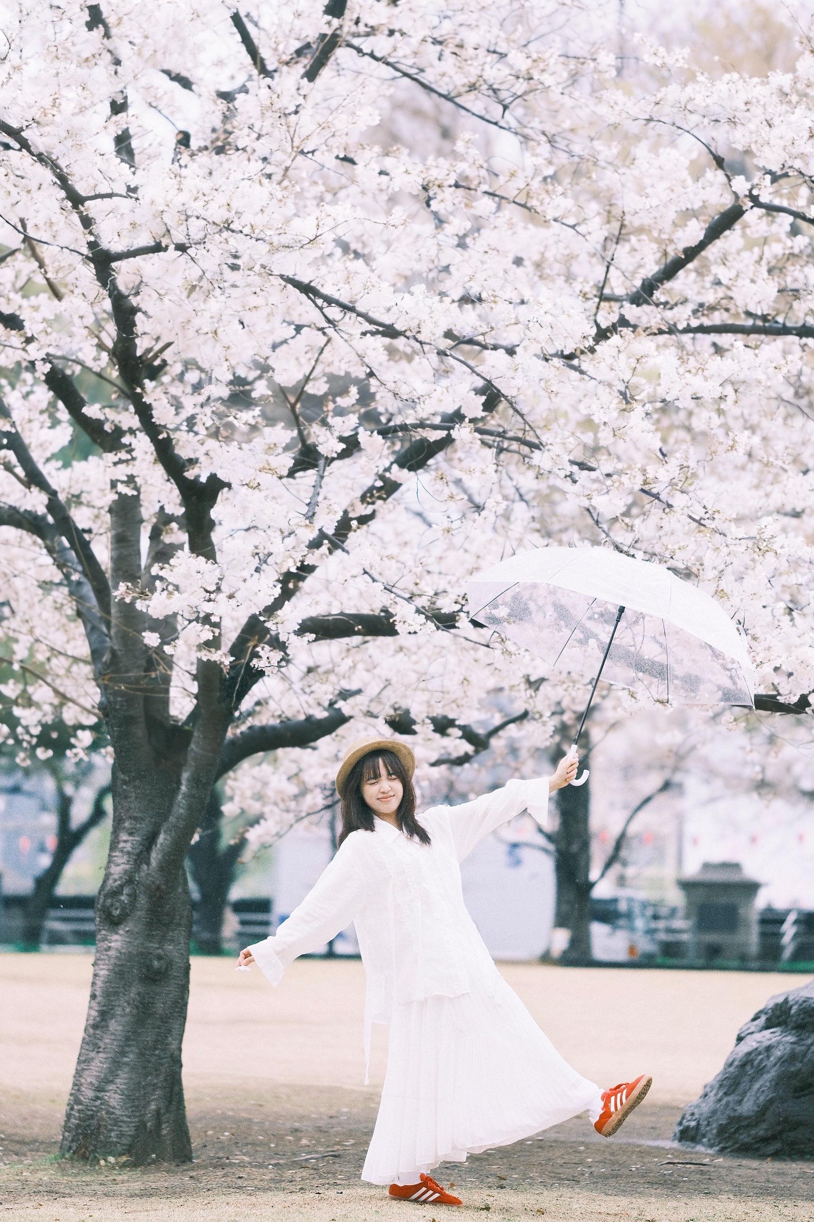 樱花季🌸。