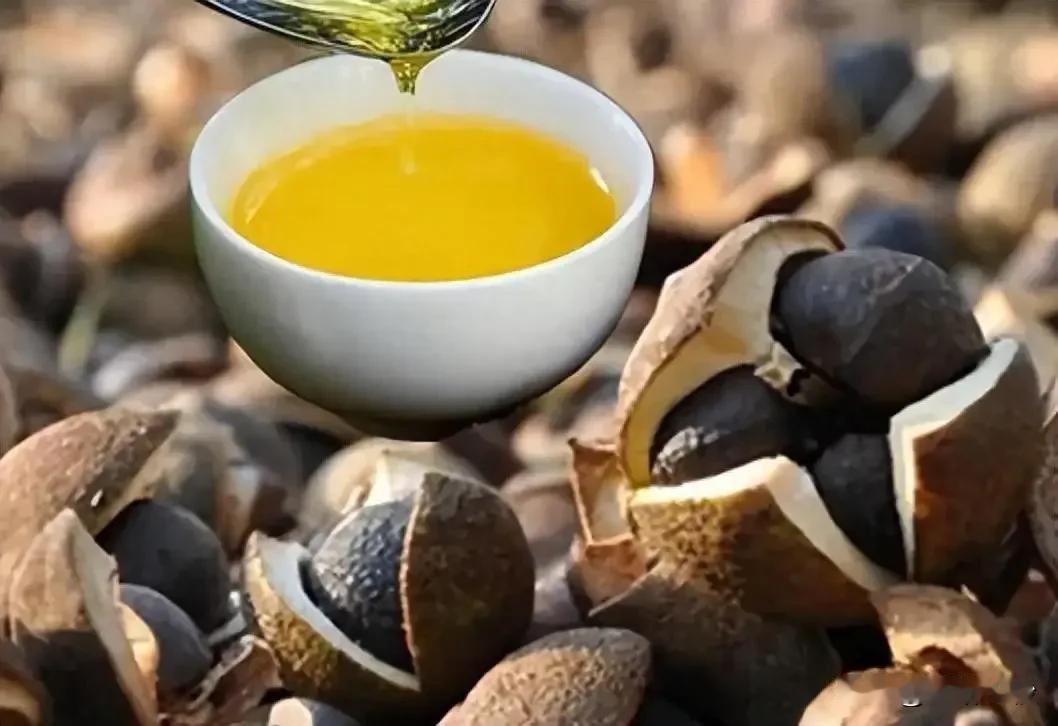 茶籽油的十大妙用：农村之宝，孩子生病的良伴

茶籽油，这一源自大自然的绿色油品，