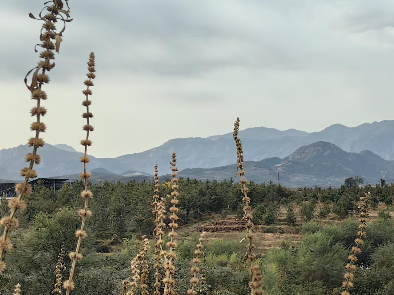 我在近日才悟了——独处的最高境界哪是什么青灯古佛，分明是“社交开关自如切换术”！