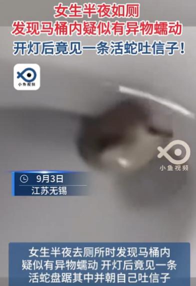 江苏，女子半夜起床上厕所，不料，刚坐上马桶，就感觉下面有东西，她起身打开灯，被吓