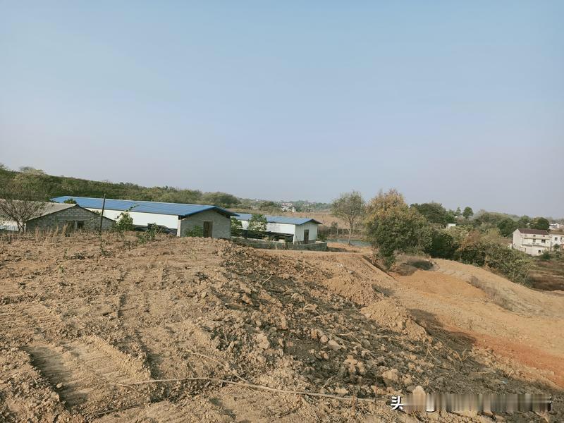 《农村土场：独特的健身训练基地》
在城市的钢筋水泥中，健身俱乐部总是以现代化的器