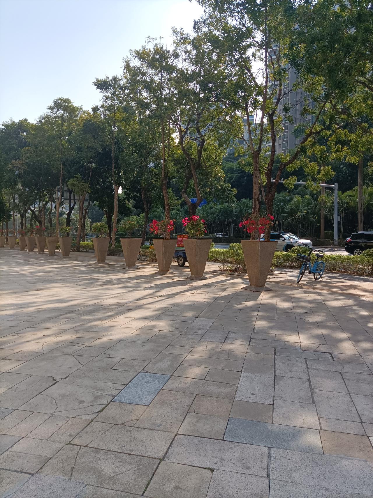 今天收到的一句关心好几天没出去买菜了，今天出去，那个保安一见我就说，好几天没有看