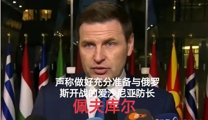 打格鲁吉亚用了5天，打爱沙尼亚3天够了！
近期爱沙尼亚又跳的老高，常找俄罗斯的茬