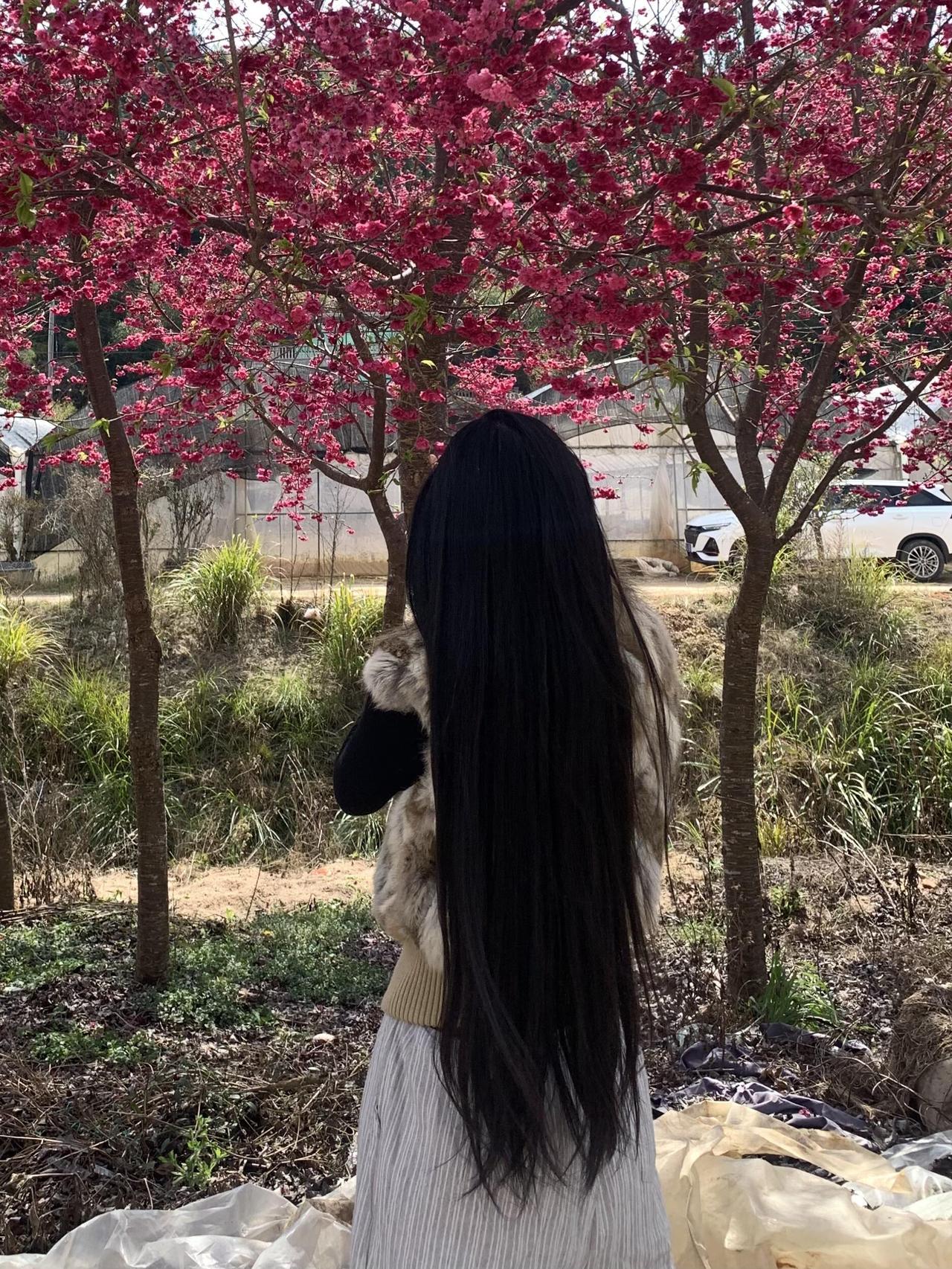 把离婚关系，
换成雇佣关系。
见过最皆大欢喜的，
是把互相折磨的婚姻，
过成了各
