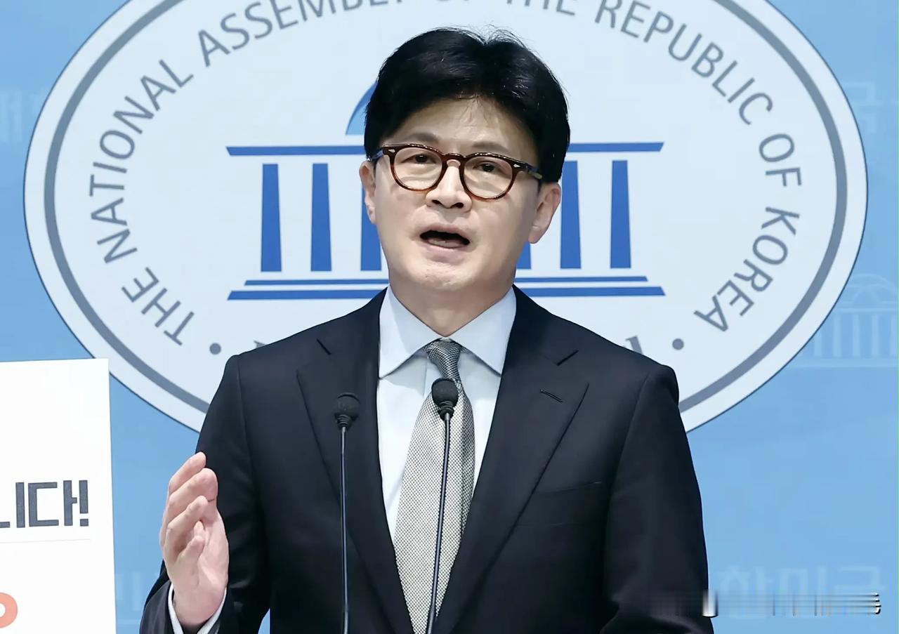 韩东勋：李在明政府推进作战权移交协商 需先获国民同意
 
韩国前国民力量党首韩东