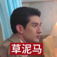 政咪今晚的发型仿佛开了大头特效 ​​​