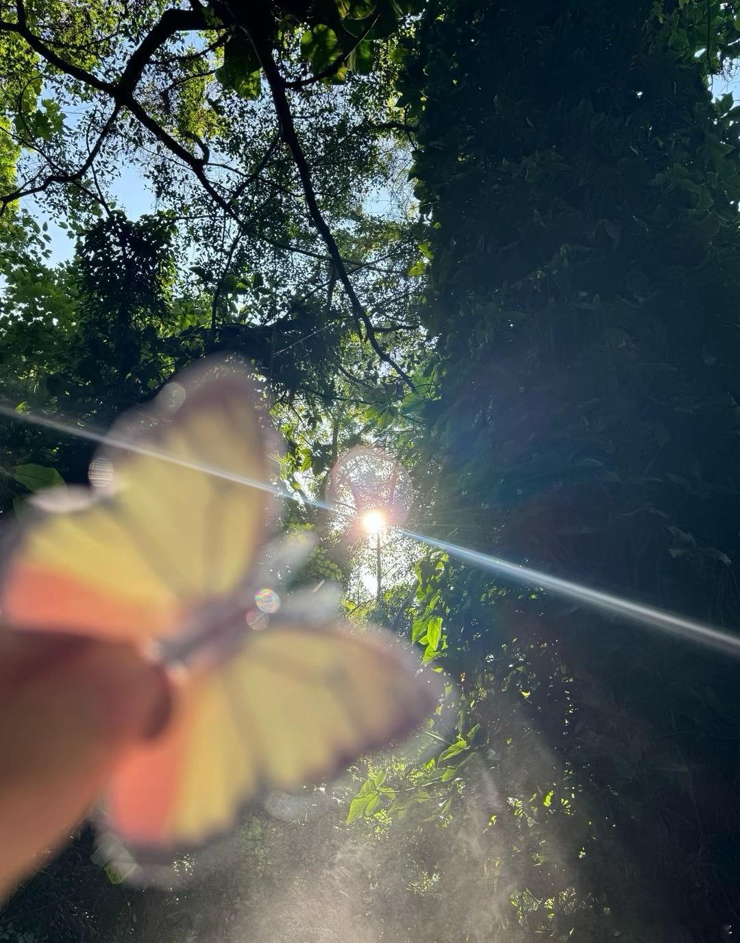 微博年度待改编ip评选pick你心中的改编潜力王 春宵一刻值千金前天晚上加班到九