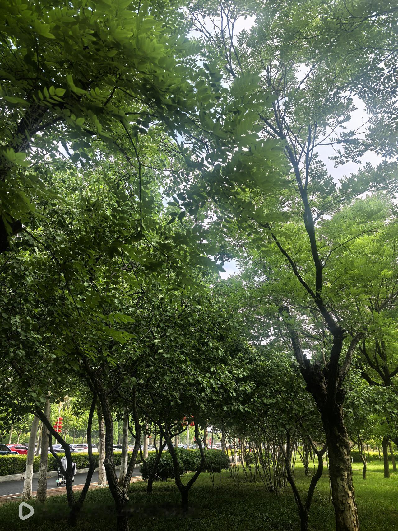 昨天晚上发了一个微头条，一直处于审核状态，系统提示，作品排队审核中，请耐心等待！