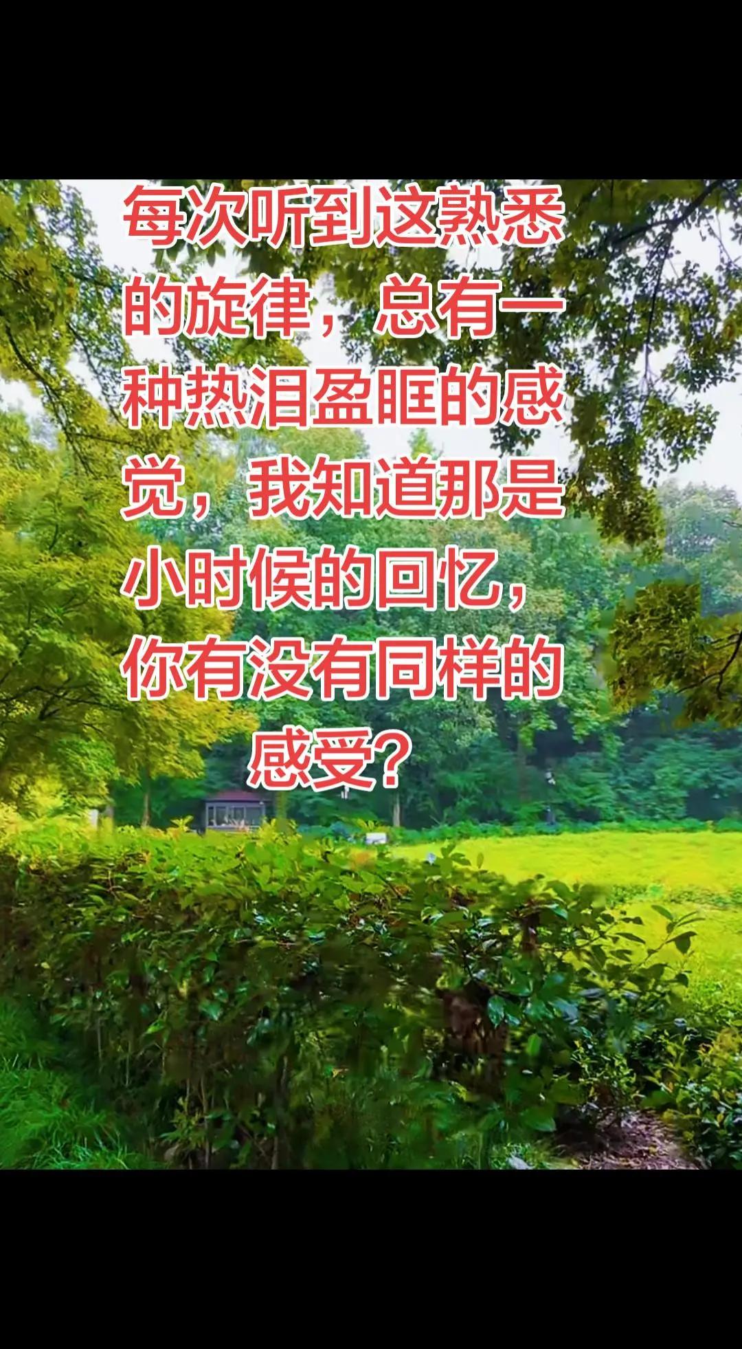 你听到这个旋律有什么感觉？
