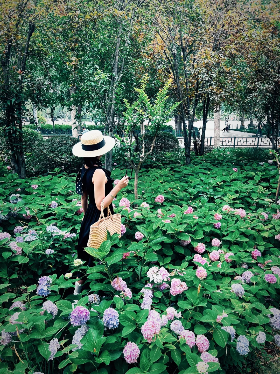 是无尽夏开了🫧🖤🍃