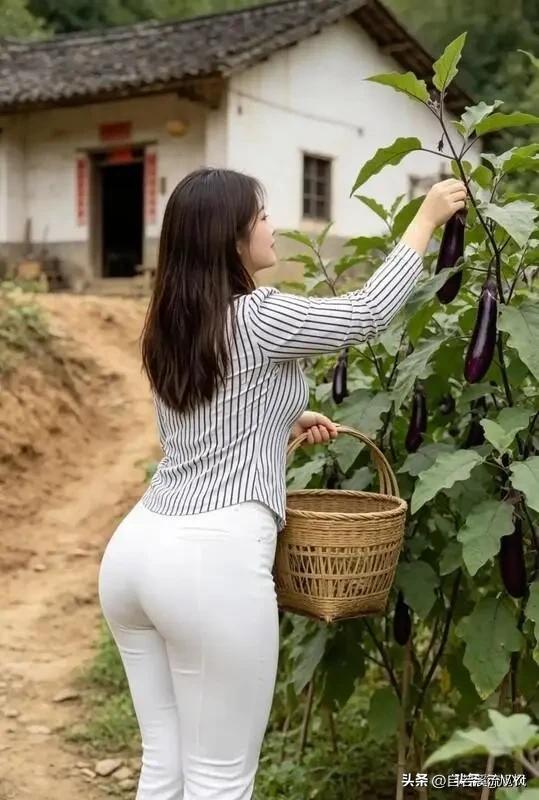山花子·田园采撷
 
篱畔茄垂紫果繁，轻携竹篮步田间。
乡舍风柔山野静，意安然。